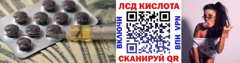 дарнет шоп  Электрогорск  ЛСД экстази ecstasy 