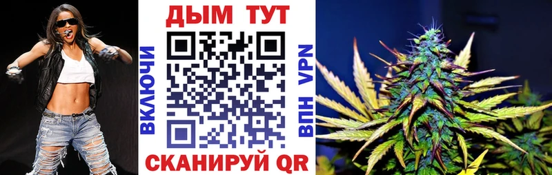 Канабис конопля  это наркотические препараты  Электрогорск 